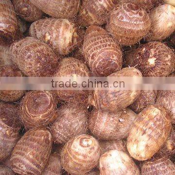 Fresh chinese taro