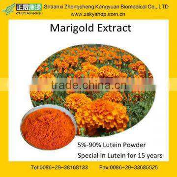 High Quality Marigold Lutein Supplement -GMP Factory