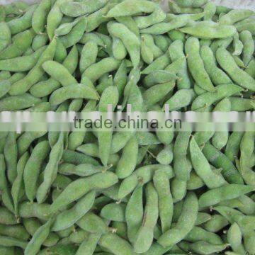 Frozen Edamame