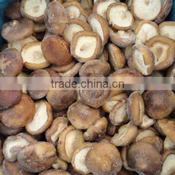Frozen shiitake whole quarters