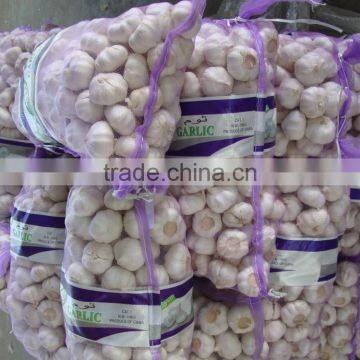 YUYUAN Brand Hot Sail Fresh Garlic Black Garlic Oil