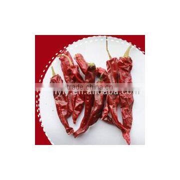 Taonan dried chilli