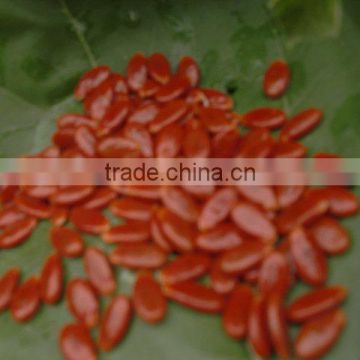 red melon seeds