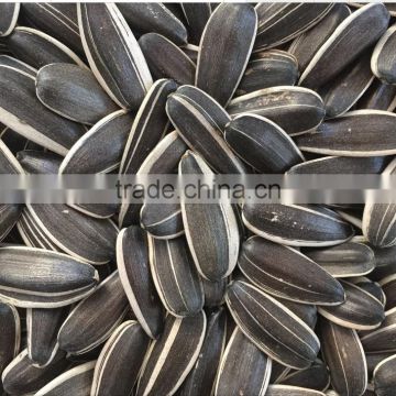 Price of Inner Mongolia Sunflower Seeds with good quality