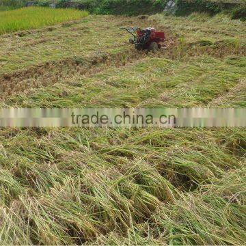 Factory Derectly Supply Mini Rice Combine Harvester photo-5