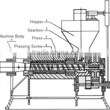 Watermelon Seed Oil Press Machine Screw Oil Press Machine photo-5