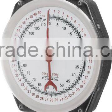 200kg Spring weighing balance