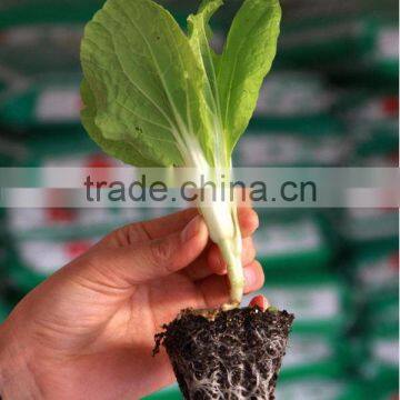 Top Grade Best Choice Rice Transplanter Seedling Tray photo-4