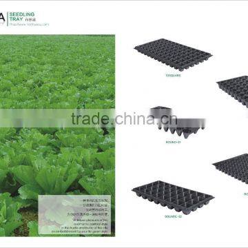 Plastic Seedling Tray Molding Machine photo-3