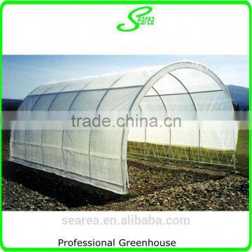 Plastic Arch Greenhouse for Sale From Big Greenhouse Manufacturer in China photo-6