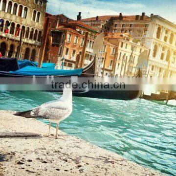 VENICE LED CANVAS