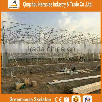 Heracles Trade Assurance Agricultural Plastic Greenhouse for Sale photo-3