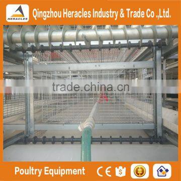 Trade Assurance Automatic Chicken Broiler Cage for Sale photo-4