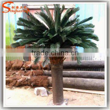 Guangzhou Supplier Wholesale Artificial Cycas Revoluta Tree Bonsai Fake Cycas Revoluta photo-3