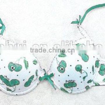 cherry bra/ fashion spandex bra sexy bra underwear made in China