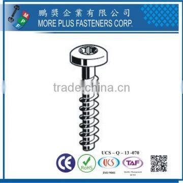 Maker in Taiwan Hot Sales Stainless Steel Thread Forming Screws photo-2