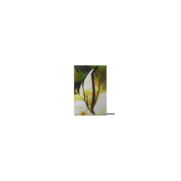 Sell Striped Fingerfish