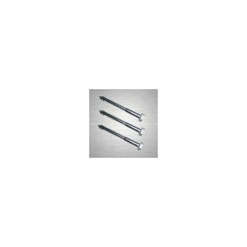 Stainless Steel Hexagon wood screws
