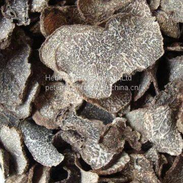 Dried Edible Mushroom Fungus Truffle