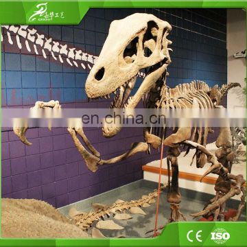 Sichuan OEM raptor skeleton replica for playground