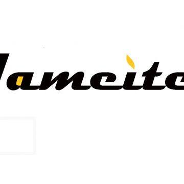 JAMEITE Hand-painted Silk Wallpaper Co., LTD of Nantong Jiangsu Province China
