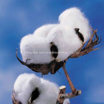 Mepiquat Chloride 25%AS/SL photo-4