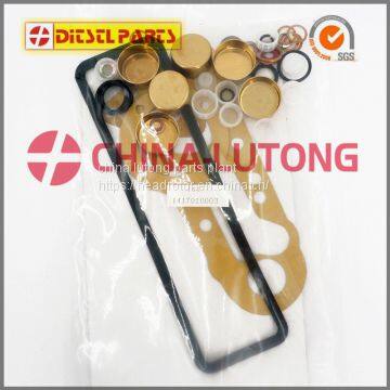 Diesel Fuel Pump Repair Kit 1 417 010 003 for Cummins Engine Overhaul Kits photo-2