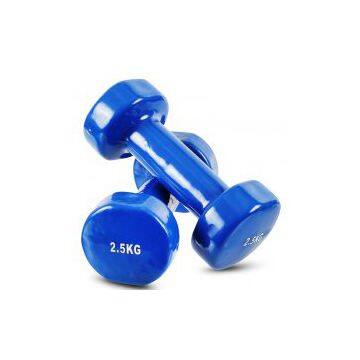 China Manufacture Wholesale 2.5 KG Vinyl Dumbbell