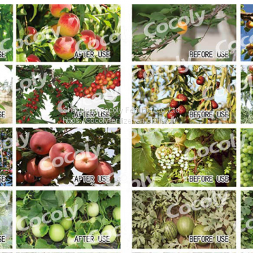 Granular Water-soluble Fertilizer Cocoly Full of Nutrients photo-5