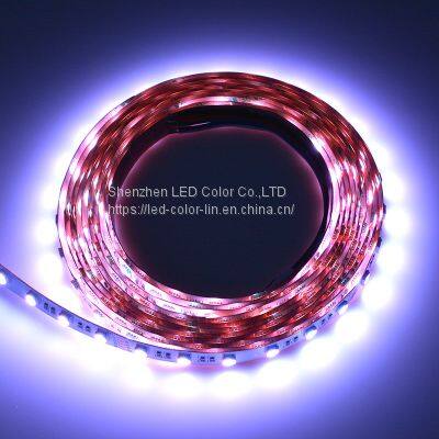 Low Price RGBWW Colour DC 24V Indoor 12MM car Led Strip Light