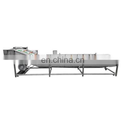 Vegetables agricultural products fruit cleaning machine apple lemon large bubble cleaning machine