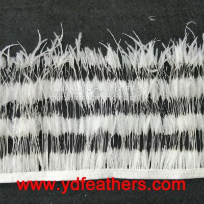 Stripe Burnt Ostrich Feather Fringe/Trim Sew On Ribbon From China