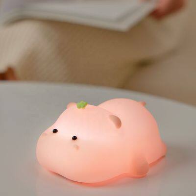 2024 Popular Baby Sleeping Lamp Usb Rechargeable Timing Switch Cute Silicone Small Night Light Touch Sensor Kids Lamp photo-2
