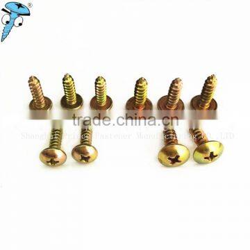 Hot new special truss driver self tapping screw