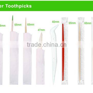 individual white color hollow dental plastic toothpicks