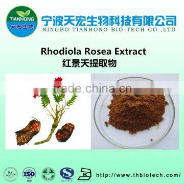 rhodiola rosea powder extract great stock and free sample