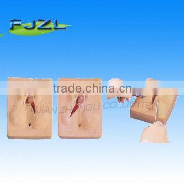 Teaching Vulva Suturing Training Simulator,Medical Sutures model
