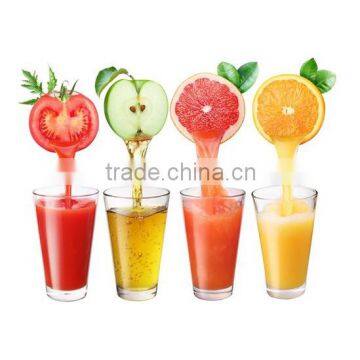 Hot Sale Commercial Fruit Juicer, Fruit Juicer Machine photo-2