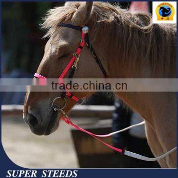 Bitless Bridles in pink color for racing