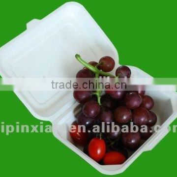 Hot sale disposable Fruit Food Container packing tray cooling tray for food