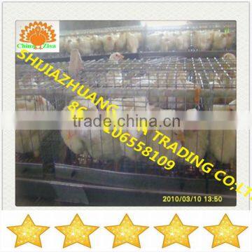 welded wire mesh panel chicken cage