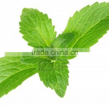 Organic Dried Stevia Leaves