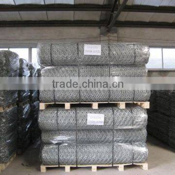 Hexagonal wire mesh