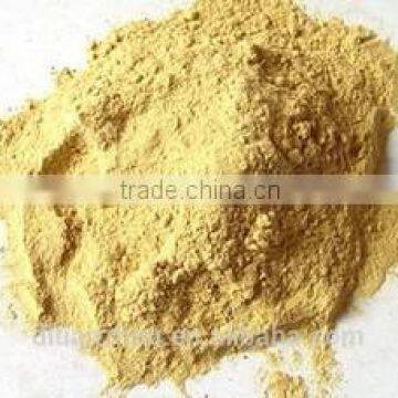 Ginger powder high quality competitive price best selling