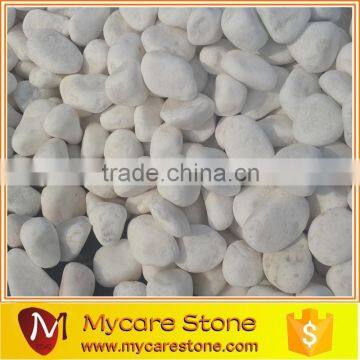 Best quality cheap snow white color pebble