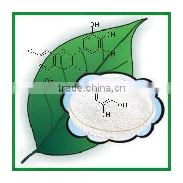 EGCG/ECG/EC Green Tea Extract/P.E With ISO HACCP HALAL Kosher photo-2