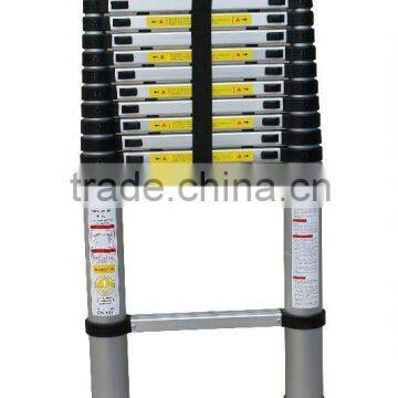 Telescopic ladder