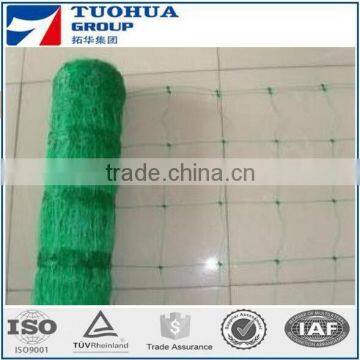 Green Vegetable Climbing Netting Supplier