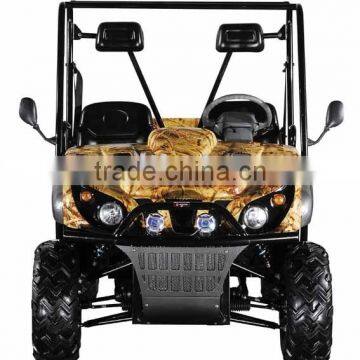 Electric UTV/ Golf Carts