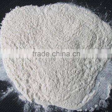 Bulk Packaging and Common Cultivation Type Onion Powder photo-4